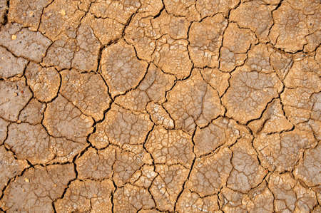 Arid soils under the scorching sun. World drought.