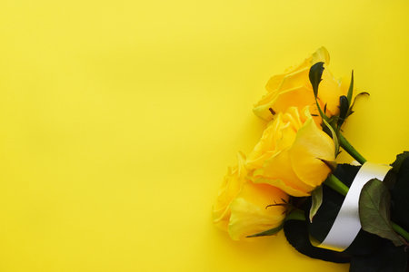 Three yellow beautiful roses on a yellow background. Copy spase. Concept for Mother's Day, Family Day, Valentine's Dayの写真素材