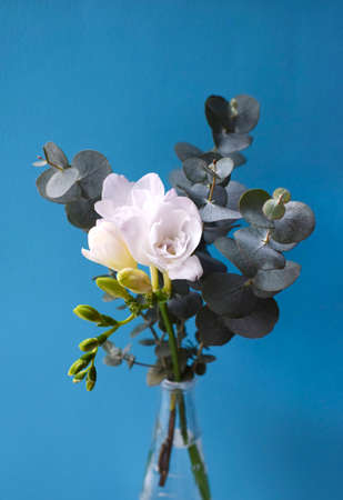 Delicate bouquet with white reesia flowers with eucalyptus sprigs on a blue backgroundの写真素材