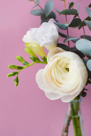Delicate bouquet of delicate pink ranunculus flower and white freesia with eucalyptus sprigs on a pink backgroundの写真素材