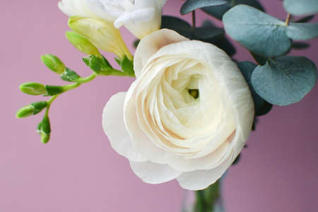 Delicate bouquet of delicate pink ranunculus flower and white freesia with eucalyptus sprigs on a pink backgroundの写真素材