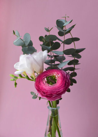 Delicate bouquet of bright pink ranunculus flower and white freesia with eucalyptus sprigs on a pink backgroundの写真素材