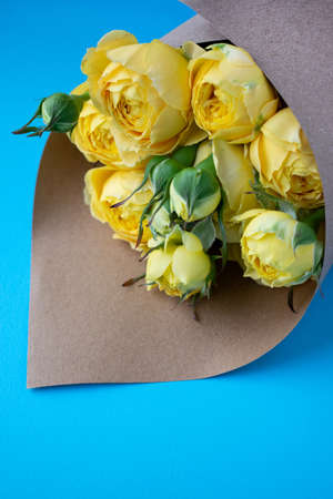 Beautiful yellow pion-shaped rose. Bouquet Shrub roses on blue background. Illuminating yellow. Trendy colorの写真素材