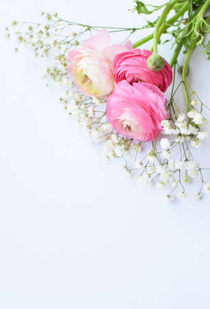 A beautiful bouquet of pink ranunculus (buttercups) with delicate white gypsophila flowers on a...