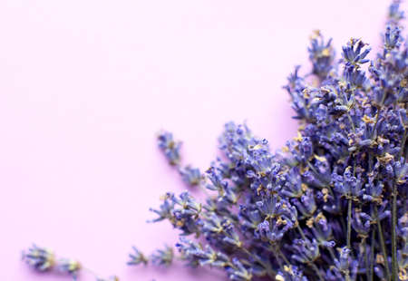 Bouquet of violet lilac purple dry lavender flowers arranged on pink table background. Top view, flat lay mock up, copy space.の写真素材