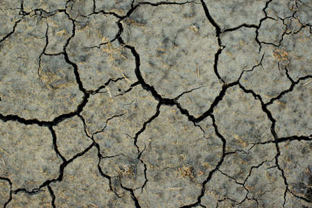 Arid soils under the scorching sun. World drought. Agriculture problemsの写真素材