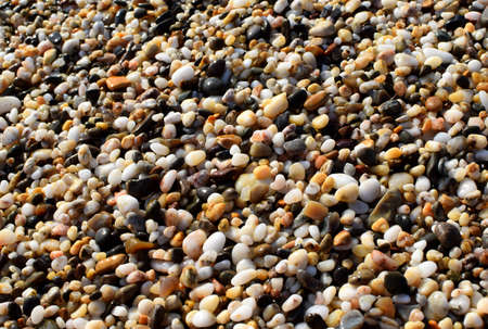 Natural texture background, colorful sea stones in water, top viewの写真素材