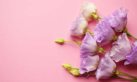 Beautiful violet eustoma flowers (lisianthus) in full bloom with buds leaves. Bouquet of flowers on pink background. Copy spaceの写真素材