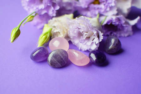 Beautiful violet eustoma flowers (lisianthus) in full bloom with natural stones amethyst and rose quartz. Flowers and semi-precious stones on a purple background.の写真素材