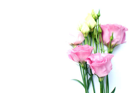 Beautiful pink eustoma flowers (lisianthus) in full bloom with buds leaves. Bouquet of flowers on...