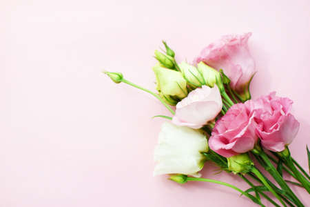 Beautiful pink eustoma flowers (lisianthus) in full bloom with buds leaves. Bouquet of flowers on pink background. Copy spaceの写真素材