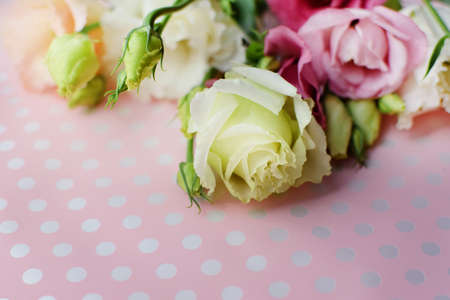Beautiful pink eustoma flowers (lisianthus) in full bloom with buds leaves. Bouquet of flowers on pink background.の写真素材