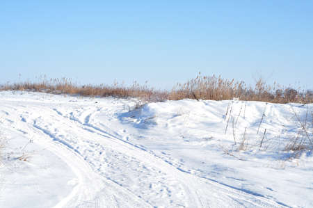 Snowy winter road in the field. Deep snow. Reed thickets in the fieldの写真素材