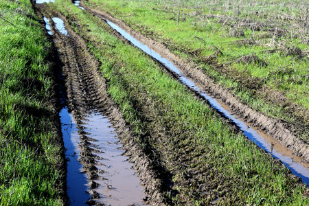 Dirt road after rain in the field. Puddles in a rut on green grassの写真素材
