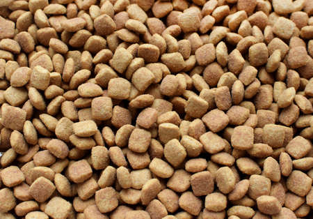 Background of dry pet food. Complete nutrition in granules for dogs and catsの写真素材