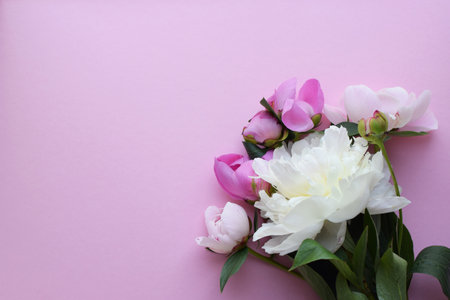 Pink peony flowers on a pink background. top view. Concept Mother's Day, Family Day, Valentine's Day. copyspace.の写真素材