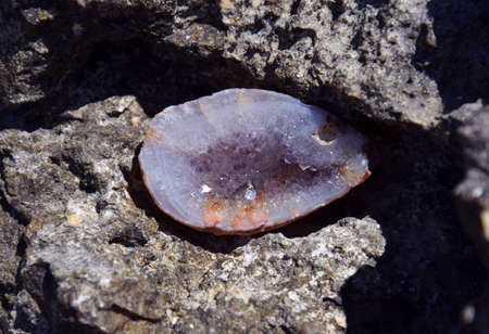 A beautiful amethyst geode lies on wet stones on the seashore. Crystals of purple semi-precious stones in the sun.の写真素材