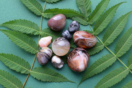 Beautiful round stones of botswana agate with a green branch on a green background. Healing crystals. Flat lay, top view.の写真素材