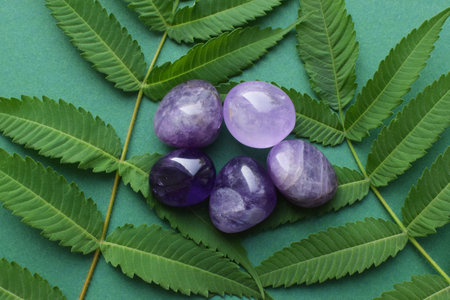 Beautiful round amethyst stones with a green branch on a green background. Healing crystals. flat lay.の写真素材