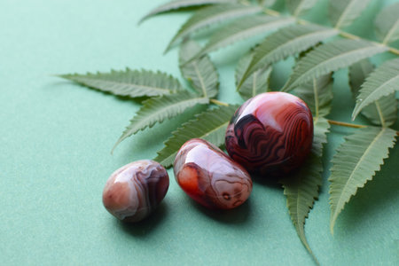 Beautiful round stones of botswana agate with a green branch on a green background. Healing crystals. selective focus.の写真素材