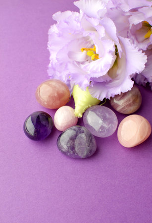 Beautiful lilac eustoma flowers (lisianthus) in full bloom with natural stones amethyst and rose quartz. Flowers and semi-precious stones on a purple background.の写真素材