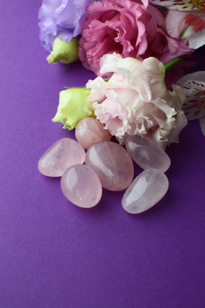 Beautiful pink eustoma flowers (lisianthus) in full bloom with natural stones rose quartz. Flowers and semi-precious stones on a purple background.の写真素材