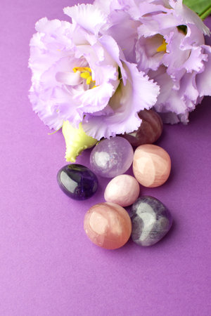 Beautiful lilac eustoma flowers (lisianthus) in full bloom with natural stones amethyst and rose quartz. Flowers and semi-precious stones on a purple background.の写真素材