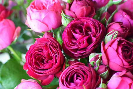 Beautiful floral background of peony red roses. Photo of a bouquet in a flower shopの写真素材