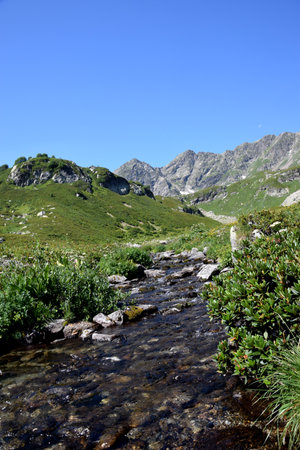 Valley of the mountain river Malaya Dukka in the mountains of the North Caucasus. Tourist trail to the lakes in the mountains of the Arkhyz resort, Karachay-Cherkessia, Russia. Vertical photoの写真素材