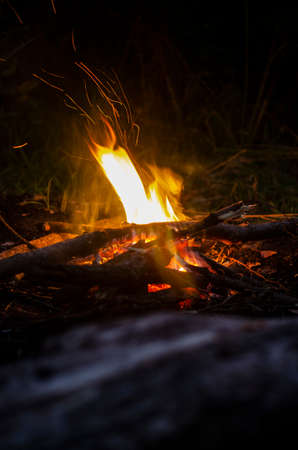 campfire in the forest close - upの写真素材
