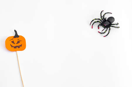 Halloween holiday background with spider and pumpkinの写真素材
