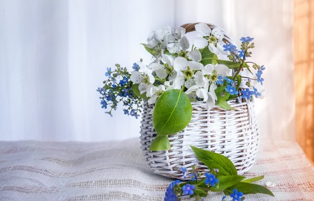 White wicker small basket of flowers forget-me-nots and Apple on a light background on a Sunny day....