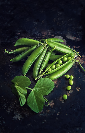 Pods of green peas on a dark background low key. The vertical frame.の写真素材