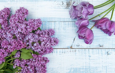 The branch of lilac blossoms with a bouquet of purple tulips on a light wooden background. A horizontal frame.の写真素材