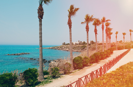 The road along the rocky sea coast with palm trees, shrub and grasses on a Sunny day.の写真素材