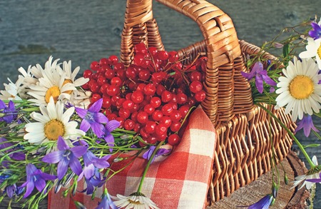 Basket with viburnum, and wildflowers bluebells and daisies on a red napkin in the sun . Wooden background.の写真素材