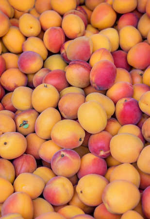 Background of ripe juicy apricots that are sold at the farmers market.の写真素材