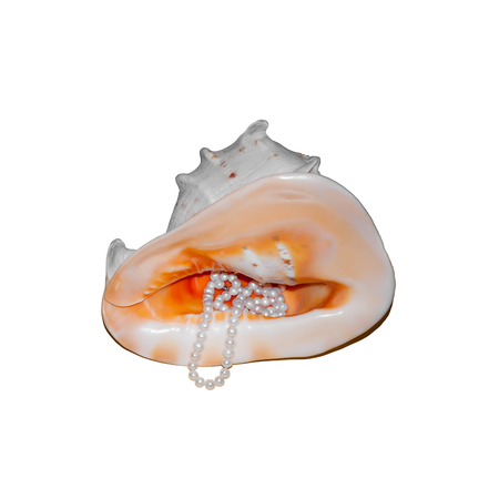 Isolated on white decorative seashell with mother of pearl and a necklace of pearls.の写真素材