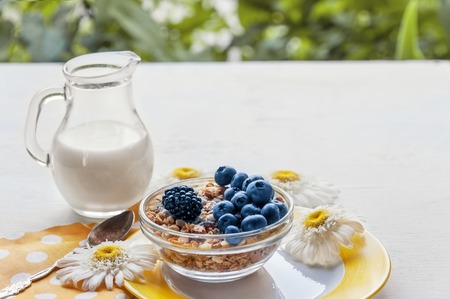 Prepared a healthy Breakfast of muesli with blueberries and natural yoghurt in a glass jug. Copy space. The horizontal frame.の写真素材
