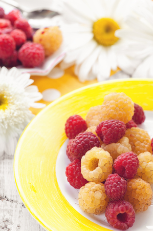 Fruit ice cream yellow raspberry with mixed berries raspberries on a plate on the background of large daisies. Close-up. The vertical frame.の写真素材