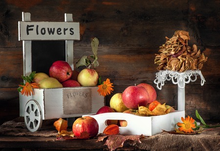 Autumn still life of apples in a box with Apple chips and fezalis.の写真素材