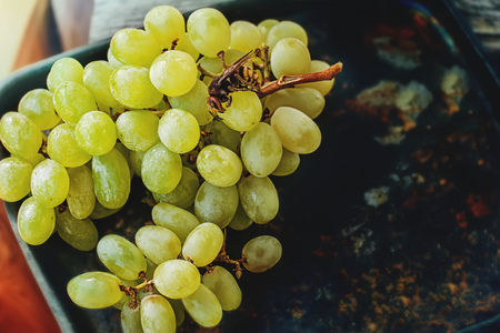 The grapes are ripe bunches of grapes, lying on the old metal dark background in rustic style. Copy...