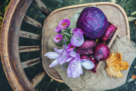 Farmers harvest various vegetables in late summer in an organic garden. Healthy, sustainable food. The concept of vegetables of the same color. The view from the top.の写真素材