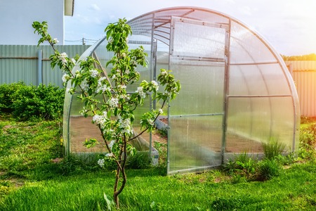 Greenhouse made of plastic for growing green vegetables. City garden. Tonedの写真素材