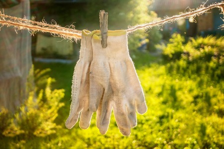 Old working textile gloves are dried on the twine after washing. Hand protection.の写真素材