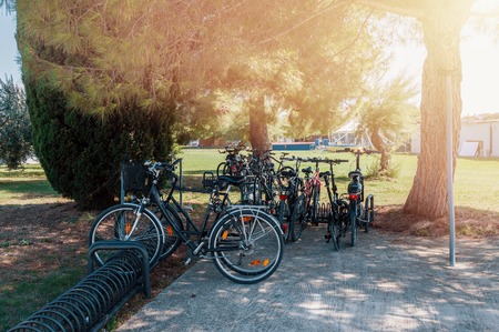 Bicycles are parked in the Park under the trees on a Sunny dayの写真素材