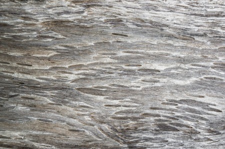 The surface is blurred by time, old wooden background. Wood texture with natural pattern left by water on the treeの写真素材