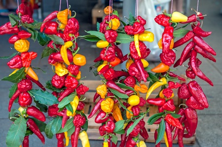 Colorful chili peppers and Bay leaves hang with cords in the window of the farmer's market.の写真素材