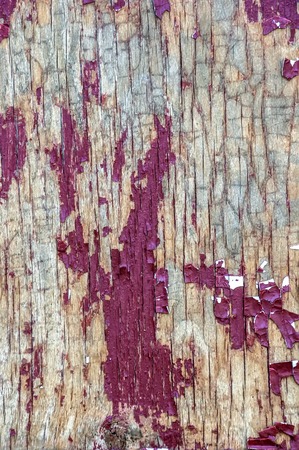 wooden texture of old painted door Board.の写真素材
