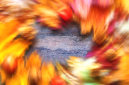 Autumn background of yellow and red maple leaves. Defocused. Copy space.